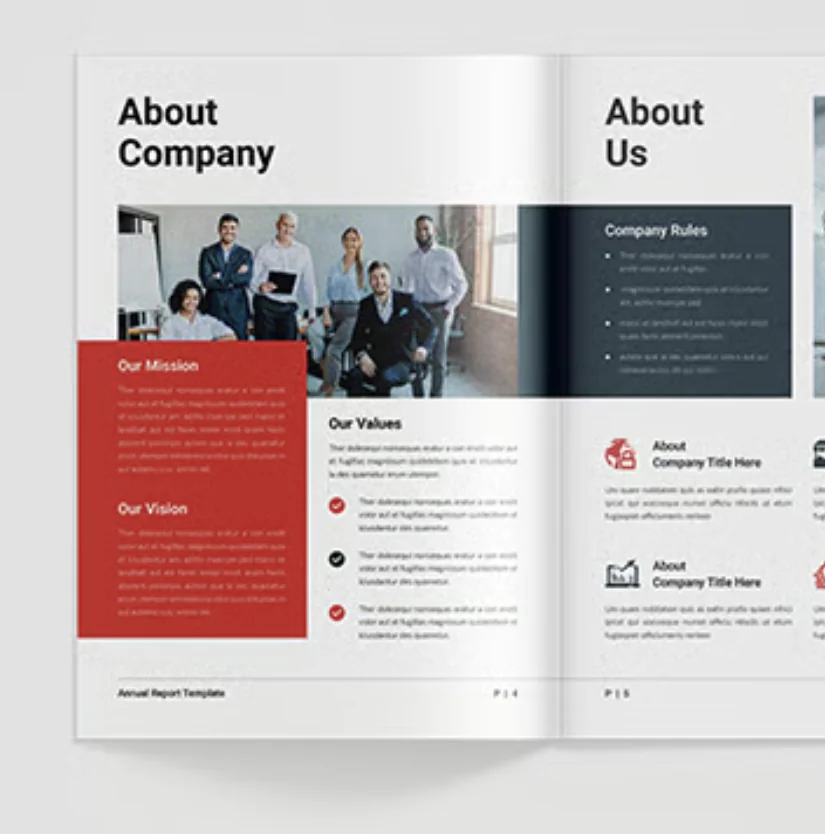 Report spread: about the company